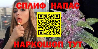 СК Изобильный