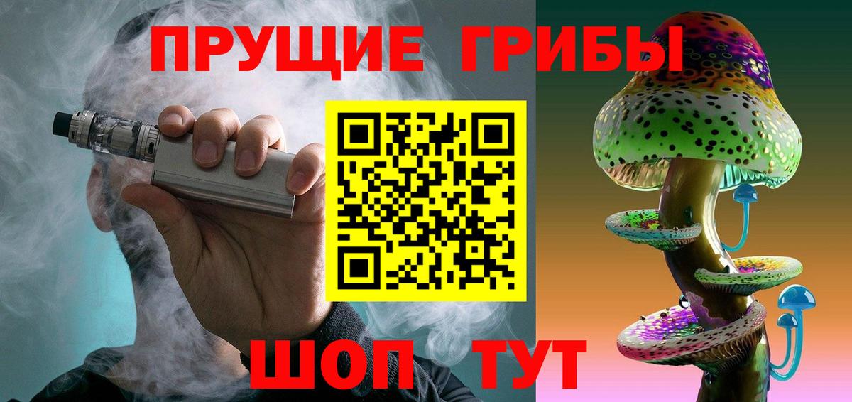 Киселёвск  купить наркотики сайты  Вход с VPN  Галлюциногенные грибы мицелий 