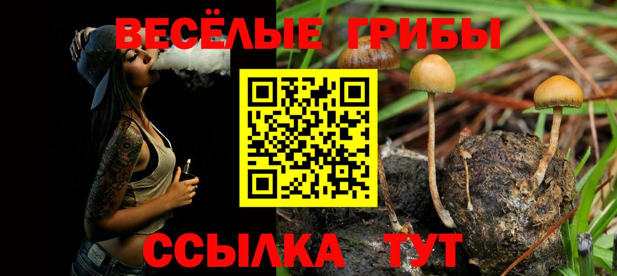 Галлюциногенные грибы Cubensis Киселёвск