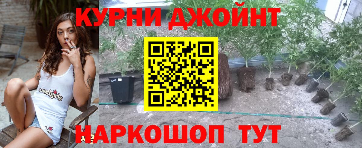 Каннабис семена  Вход с VPN  МАРИХУАНА MAZAR  Бошки Шишки AK-47  Киселёвск  Шишки марихуана ГИДРОПОН 